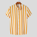 Camisa lineada